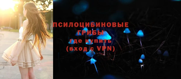 круглые Алексеевка