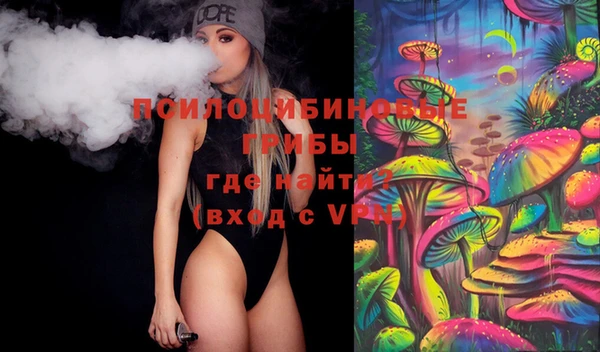 a pvp Алзамай