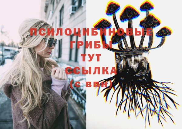 круглые Алексеевка