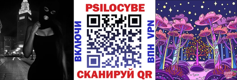 купить наркоту  Кудрово  Псилоцибиновые грибы Cubensis 
