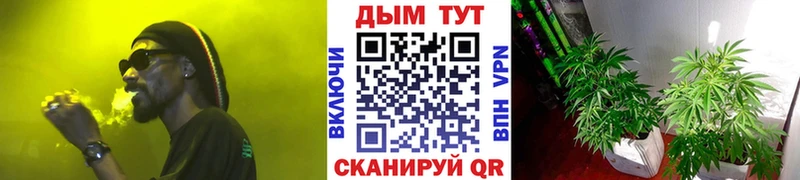 наркотики Кудрово гидра ССЫЛКА Бошки марихуана SATIVA & INDICA